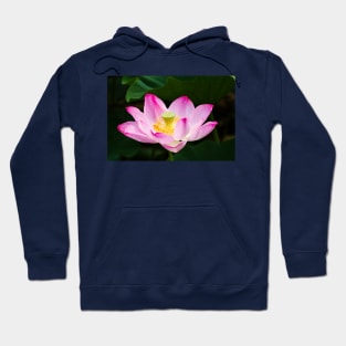 Lotus Hoodie